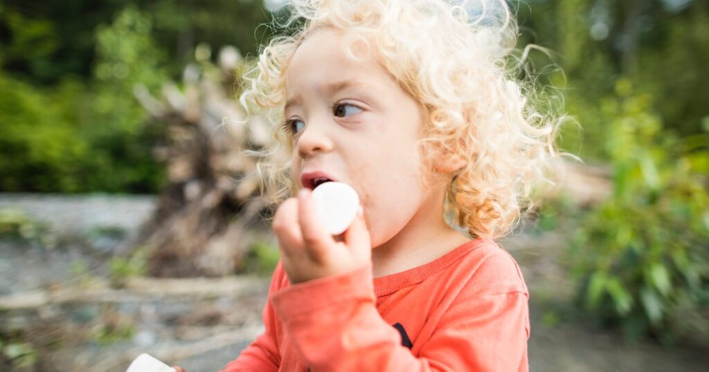 Le test Marshmallow ne prédit pas le succès des enfants comme vous le pensez