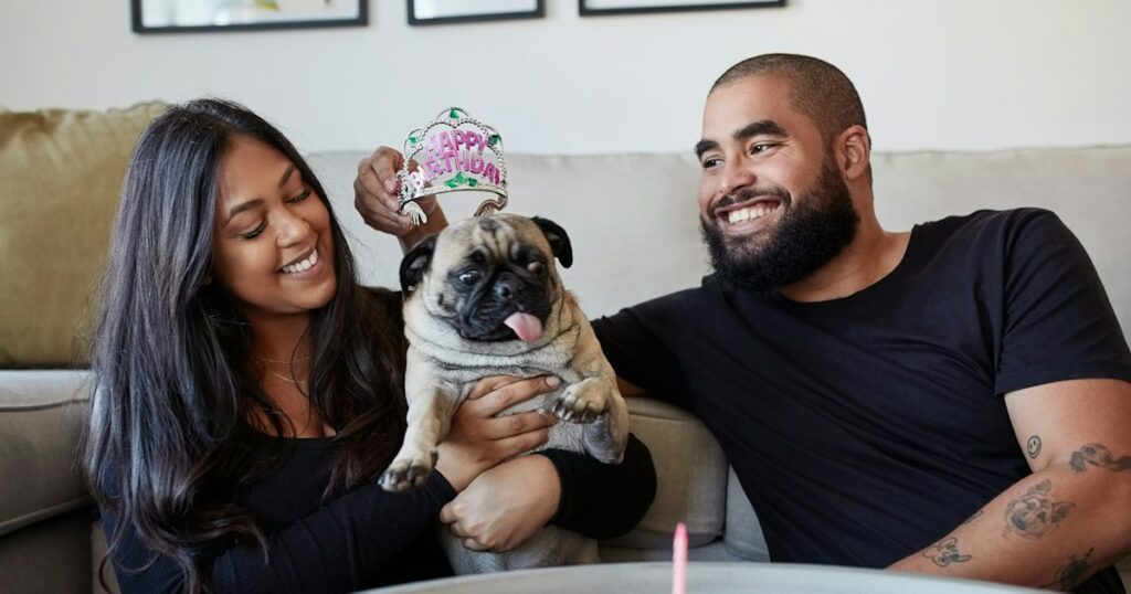 Les chiens qui parlent avec des bébés peuvent être ennuyeux.  La science dit de le faire quand même