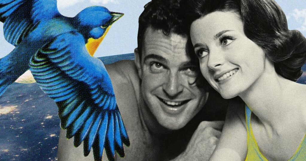 Ce que dit réellement le « test d’oiseau » viral sur votre relation