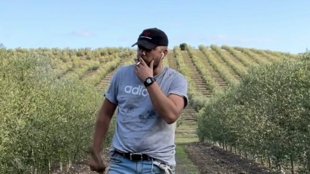 Un agriculteur andalou tire au sort une boîte de son huile sur les réseaux sociaux et cela devient un sujet d'actualité nationale