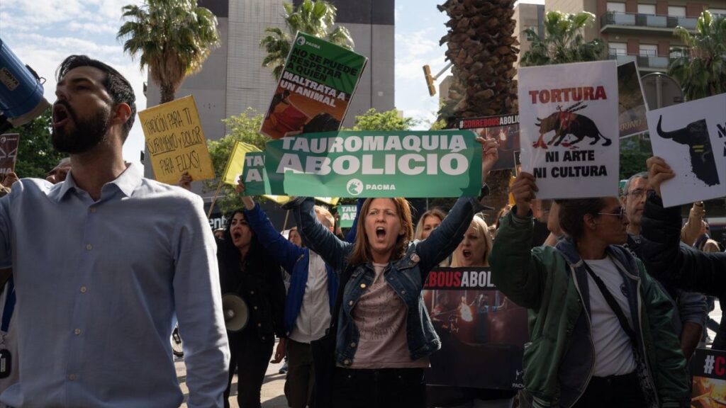 Tensión entre animalistas y taurinos en la Monumental barcelonesa el día de la Tauromaquia