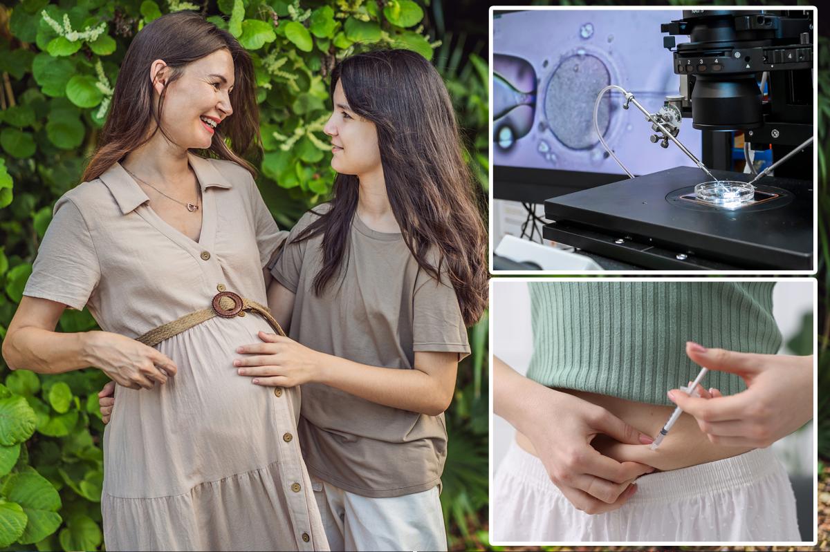 Les scientifiques ont découvert comment « rajeunir » les ovules pour la FIV – ce que cela signifie pour les femmes de plus de 40 ans