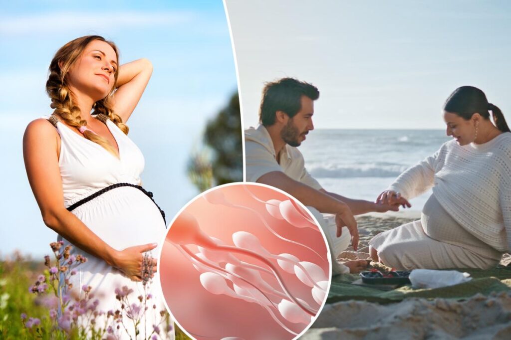 La découverte du sperme révèle pourquoi il peut être plus facile de tomber enceinte en été
