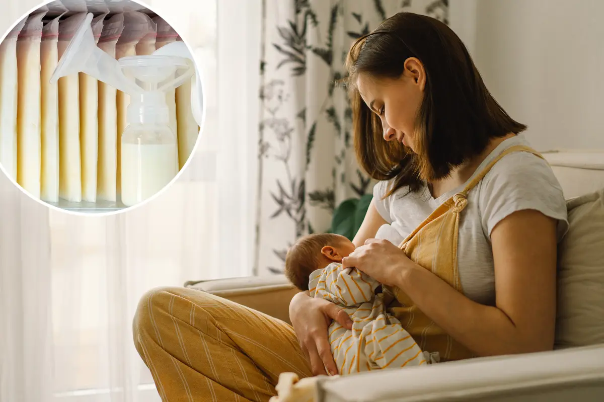 Les produits chimiques que les bébés boivent dans le lait maternel peuvent perturber les hormones