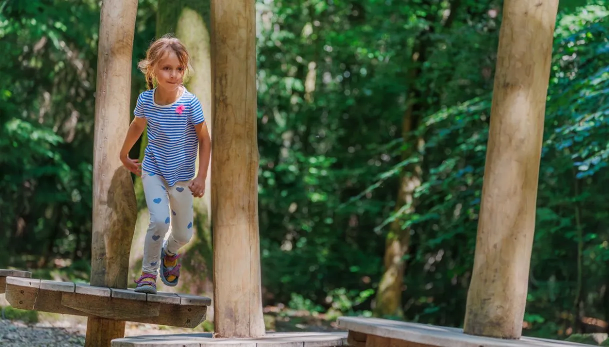 Parcs aventure pour les familles