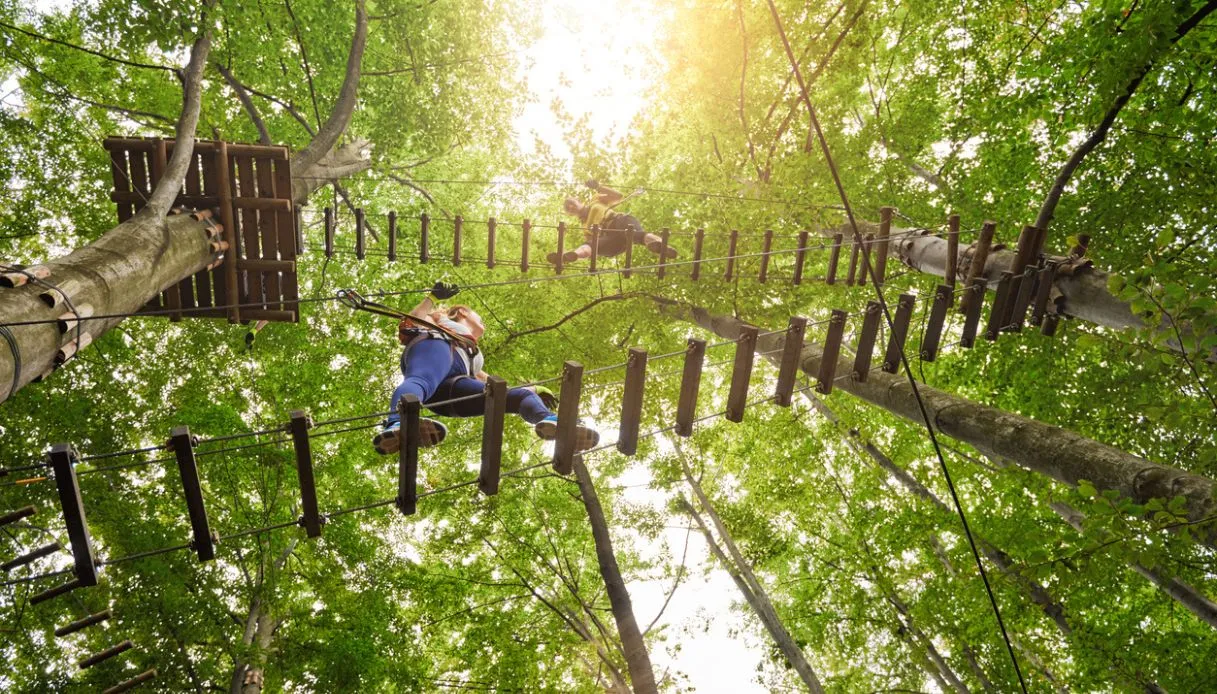 Parcs aventure pour les familles