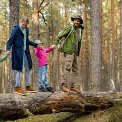 Parcs aventure pour enfants et adolescents : 8 lieux incontournables en Europe