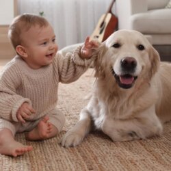 Vous voulez des enfants en meilleure santé ? Achetez un chien, suggère une étude