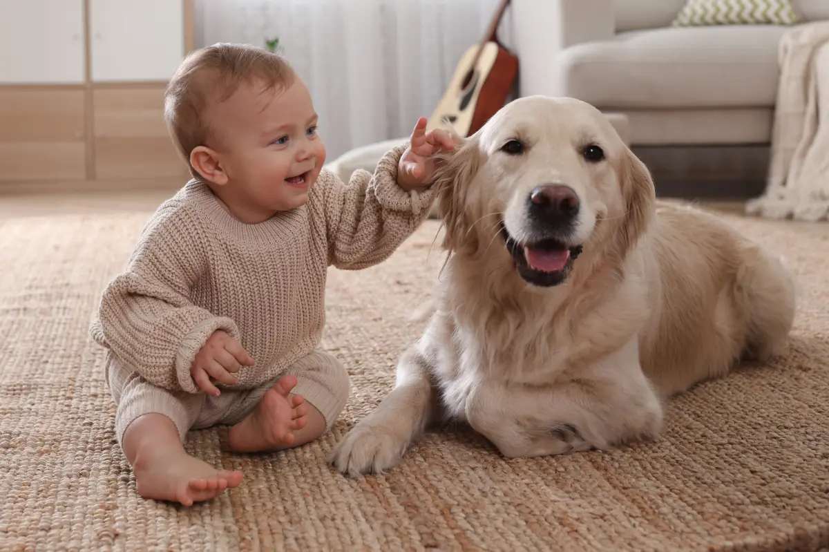 Vous voulez des enfants en meilleure santé ? Achetez un chien, suggère une étude