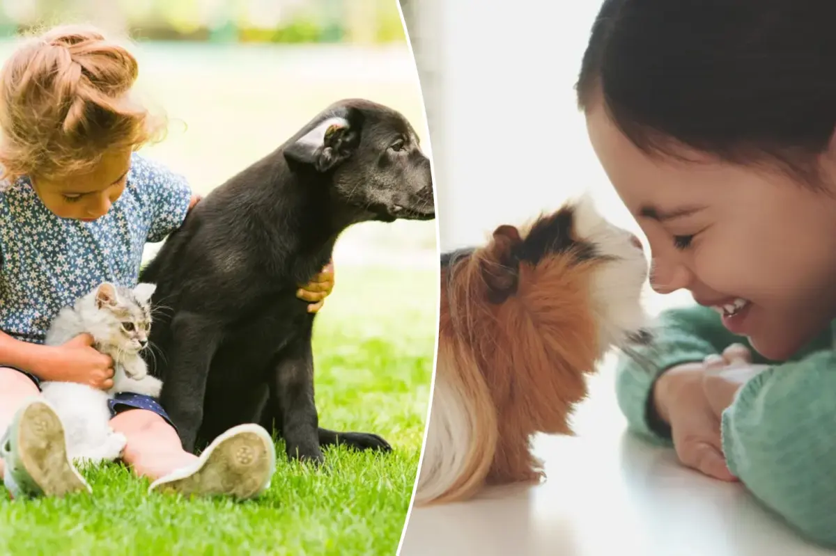 Les animaux de compagnie améliorent la santé mentale des enfants, sauf un, qui aggrave la situation
